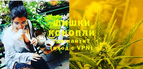 прущие грибы Краснослободск