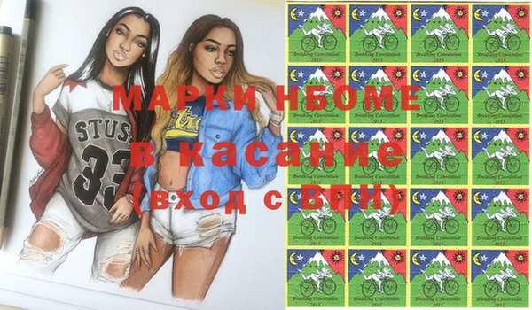 прущие грибы Краснослободск